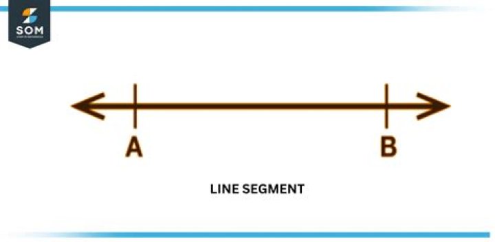segment